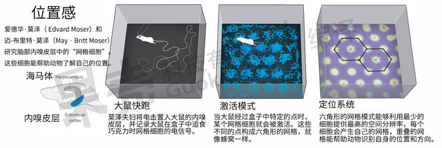 http://2.im.guokr.com/ld32Wo5E6XKlalNaPcA-YwP24GvTv5kfG-aRnaCTsbfpBgAAUwIAAEpQ.jpg?imageView2/1/w/640/h/215
